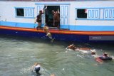 Sejumlah buruh angkut menurunkan sapi dengan cara dilempar ke laut dari perahu motor di Pelabuhan Kalbut, Mangaran, Situbondo, Jawa Timur, Kamis (21/2/2019). Proses bongkar muat hewan ternak, seperti sapi dan kambing dari kepulauan Madura terpaksa dilempar ke laut karena perahu motor tidak dapat merapat ke dermaga. Antara Jatim/Seno/ZK.