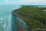 Hamparan hutan mangrove meliputi daerah wisata pantai Mekar, pantai Muara Beting, Muara Bendera, dan Pantai Bahagia di Kecamatan Muaragembong, Kabupaten Bekasi, Jawa Barat. (Antaranews Megapolitan/Foto: Pradita Kurniawan Syah).
