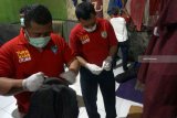 Petugas BNN dan sipir menggeledah ruang tahanan (sel) narapidana kasus narkoba di Lembaga Pemasyarakatan Klas IIB Tulungagung, Tulungagung, Jawa Timur, Jumat (22/2/2019). Dalam operasi gabungan pada malam hari itu petugas berhasil menemukan satu paket narkoba jenis sabu, 231 butir psikotropika jenus pil dobel L, uang tunai Rp1,565 juta, delapan unit ponsel dan sembilan warga binaan yang hasil atas tes sampel urine-nya dinyatakan positif mengandung narkoba. Antara Jatim/Destyan Sujarwoko/ZK.