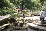 TNGM tanggung biaya perawatan wisatawan korban pohon tumbang