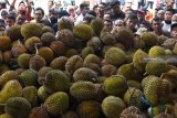 Wisatawan antre untuk mendapatkan buah durian gratis saat kegiatan Pesta Durian di objek wisata Telaga Ngebel, Ponorogo, Jawa Timur, Minggu (24/2/2019). Pemkab Ponorogo bekerja sama dengan gabungan kelompok tani dan swasta membagikan 2.000 buah durian secara gratis kepada 2.000 pengunjung Telaga Ngebel yang datang lebih awal. Antara Jatim/Siswowidodo/ZK.