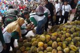 Panitia membagikan buah durian kepada wisatawan saat kegiatan Pesta Durian di objek wisata Telaga Ngebel, Ponorogo, Jawa Timur, Minggu (24/2/2019). Pemkab Ponorogo bekerja sama dengan gabungan kelompok tani dan swasta membagikan 2.000 buah durian secara gratis kepada 2.000 pengunjung Telaga Ngebel yang datang lebih awal. Antara Jatim/Siswowidodo/ZK.