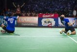 Pebulu tangkis ganda putra tim Djarum Kudus Akbar Bintang Cahyono (kanan) dan Berry Angriawan (kiri) merayakan kemenangan usai meraih poin saat melawan pebulu tangkis ganda putra tim Musica Trinity Kim Sa Rang dan Lee Yong Dae dalam laga Final Djarum Superliga Badminton 2019 di Sasana Budaya Ganesha (Sabuga), Bandung, Jawa Barat, Minggu (24/2/2019). Tim pebulu tangkis putra Djarum Kudus meraih juara setelah menang pada laga terakhir atas Musica Trinity dengan skor 3-1. ANTARA JABAR/M Agung Rajasa/agr.