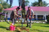 Wijaya Karya bantu ratusan bibit pohon di Pasaman Barat