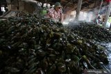 KERANG HIJAU TELUK JAKARTA TAK LAYAK KONSUMSI