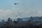 Helikopter Kementerian Lingkungan Hidup dan Kehutanan menjatuhkan air dari udara saat membantu proses pemadaman kebakaran hutan dan lahan di Pulau Rupat, Kabupaten Bengkalis, Riau, Kamis (28/2/2019). Pemerintah Indonesia mengerahkan tim gabungan pemadam kebakaran di darat dan menggunakan helikopter untuk memadamkan kebakaran lahan gambut yang sudah berlangsung selama sebulan di Pulau Rupat. (ANTARA FOTO)