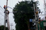 Pekerja memasang instalasi jaringan di tiang listrik baru di Sidoarjo, Jawa Timur, Jumat (1/2/2019). Pemprov Jatim menargetkan rasio elektrifikasi naik dari 93,1 persen di tahun 2018 menjadi 96 persen di tahun 2019. Antara Jatim/Umarul Faruq/ZK.