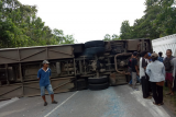 Terjadi kecelakaan bus di Jalan Trans Kalimantan Pontianak - Tayan pada Jumat (1/2) sekitar pukul 08.45 mengakibatkan kemacetan. (Foto Antaranews Kalbar/Tantra)