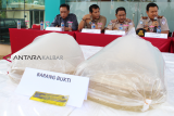 Kepala Badan Karantina Ikan Pengendalian Mutu (BKIPM) Pontianak Miharjo (kanan) bersama Kepala BKIPM Entikong Mas Wigrantoro Giri Pratikno (kedua kanan), Kepala BKSDA Kalbar Sadtata Noor Adirahmanta (kedua kiri) dan Plh Kepala Balai Pengelolaan Sumber Daya Pesisir dan Laut (BPSPL) Syarif Iwan T Alkadrie (kiri) memaparkan kronologis pencegahan penyelundupan Ikan Arwana Jardini saat rilis pelepasan di Kantor BKIPM Pontianak di Kabupaten Kubu Raya, Kalbar, Sabtu (2/3/2019). Sebanyak 3.505 ekor anak Ikan Arwana Jardini (Scleropages Jardini) senilai Rp2 Miliar yang merupakan hasil tangkapan BKIPM Entikong saat hendak diselundupkan ke Kuching Malaysia pada 13 Januari 2019 tersebut dikirim kembali ke habitat aslinya di Papua pada Sabtu (2/3) siang. ANTARA FOTO/Jessica Helena Wuysang