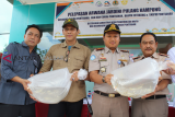 Kepala Badan Karantina Ikan Pengendalian Mutu (BKIPM) Pontianak Miharjo (kedua kanan) bersama Kepala BKIPM Entikong Mas Wigrantoro Giri Pratikno (kanan), Kepala BKSDA Kalbar Sadtata Noor Adirahmanta (kedua kiri) dan Plh Kepala Balai Pengelolaan Sumber Daya Pesisir dan Laut (BPSPL) Syarif Iwan T Alkadrie (kiri) memperlihatkan dua plastik berisi anakan Ikan Arwana Jardini saat rilis pelepasan di Kantor BKIPM Pontianak di Kabupaten Kubu Raya, Kalbar, Sabtu (2/3/2019). Sebanyak 3.505 ekor anak Ikan Arwana Jardini (Scleropages Jardini) senilai Rp2 Miliar yang merupakan hasil tangkapan BKIPM Entikong saat hendak diselundupkan ke Kuching Malaysia pada 13 Januari 2019 tersebut dikirim kembali ke habitat aslinya di Papua pada Sabtu (2/3) siang. ANTARA FOTO/Jessica Helena Wuysang




