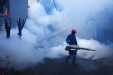 Petugas melakukan pengasapan (fogging) di kompleks Perum Permata Depok, Cipayung, Depok, Jawa Barat, Minggu (3/3/2019). Kegiatan tersebut guna memberantas penyebaran nyamuk Adedes aegypti penyebab demam berdarah dengue (DBD). (ANTARA FOTO)