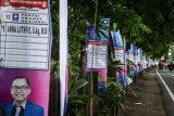 Alat peraga kampanye (APK) Caleg terpasang di piohon di sepanjang jalan kawasan Waru, Sidoarjo, Jawa Timur, Senin (4/3/2019). Masih minim pemahaman sejumlah calon legislatif (caleg) soal aturan dalam Pemilu 2019 terkait pemasangan alat peraga kampanye (APK) sehingga memasang spanduk maupun atribut lainnya tidak pada tempatnya dan membuat pemandangan terkesan kumuh. (ANTARA FOTO)