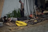Anggota Gegana Polda Jabar mengevakuasi penemuan mortir di rumah warga yang terletak di Gang Cinta Wangi, Dago, Bandung, Jawa Barat, Selasa (5/3/2019). Hingga pukul 19.00 WIB, petugas berhasil mengevakuasi 80 mortir di garasi rumah warga yang ditemukan saat buruh bangunan sedang menggali tanah untuk membuat pondasi. ANTARA JABAR/Raisan Al Farisi/agr.