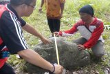 35 situs dan benda Gunung Mas didaftarkan jadi calon cagar budaya