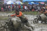 Dua petani memaksa kendaraanya masuk di garis finis saat open tournament ojek gabah petani di Desa Puuduria, Kabupaten Konawe, Sulawesi Tenggara, Minggu (4/3/2019). Kegiatan tersebut dilaksanakan sebagai wujud syukur karena panen melimpah dan turnamen diikuti 126 petani dari empat kabupaten, Konawe, Kolaka, Kolaka Timur dan Bombana untuk memperebutkan dua unit hand traktor dan 5 unit penyemprot hama. (ANTARA FOTO)