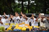 Umat Hindu melaksanakan Upacara Mecaru di depan Pura Sanggha Bhuwana Magetan, Jawa Timur, Rabu (6/3/2019). Menjelang Hari Raya Nyepi, umat Hindu melaksanakan Upacara Mecaru untuk menjaga keharmonisan antara manusia denga alam menjelang Hari Raya Nyepi. Antara Jatim/Siswowidodo/zk.