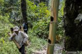 Petani membawa lodong berisi air batang pohon aren di Kampung Cimapag, Desa Sirnaresmi, Cisolok, Kabupaten Sukabumi, Jawa Barat, Kamis (7/3/2019). Setiap harinya, petani tersebut mampu menyadap 15 pohon aren untuk mendapatkan 7 kg gula aren dengan harga jual Rp10 ribu per kilogram. ANTARA FOTO/Nurul Ramadhan/hp.