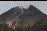Aktivitas Gunung Merapi terlihat dari kawasan Deles Indah, Sidorejo, Kemalang, Klaten, Jawa Tengah, Senin (11/3/2019). Berdasarkan data pengamatan Balai Penyelidikan dan Pengembangan Teknologi Kebencanaan Geologi (BPPTKG) pada (11/3/2019) pukul 06.00 - 18.00 WIB terjadi guguran lava ke arah Kali Gendol sebanyak dua kali dengan jarak luncur 500 meter. ANTARA FOTO/Aloysius Jarot Nugroho/nym