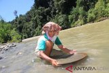 Seorang warga mendulang emas dengan cara tradisional di aliran sungai Desa Sikundo, Pante Ceureumen, Aceh Barat, Rabu (13/3/2019). Dalam sehari para pendulang emas tradisional di kawasan itu mampu mendapatkan uang Rp150.000 sampai Rp650.000 dari hasil penjualan emas. (Antara Aceh/Syifa Yulinnnas)