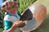 Seorang warga mendulang emas dengan cara tradisional di aliran sungai Desa Sikundo, Pante Ceureumen, Aceh Barat, Aceh, Rabu (13/3/2019). Dalam sehari para pendulang emas tradisional di kawasan itu mampu mendapatkan uang Rp150.000 sampai Rp650.000 dari hasil penjualan emas. ANTARA FOTO/Syifa Yulinnnas/wsj. 