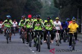 Pesepeda perserta fun bike melintas saat menuju garis finish kawasan stadion Perta Arun Gas PAG) , Lhokseumawe, Aceh, Sabtu (16/3/2019). Kegiatan fun bike dan adventure sepeda gunung “Gowes Bareng Perta Arun Gas” yang diikuti 2000 lebih pesepeda dari berbagai komunitas olahraga sepeda di Aceh dan Medan itu dalam rangka memeriahkan HUT Ke-6 PAG di Aceh. (Antara Aceh/Rahmad)