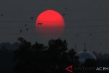 Pemandangan matahari merah menakjubkan saat terbenam di ufuk barat kota Lhokseumawe, Provinsi Aceh, Minggu (17/3/2019). Data Observatorium NASA disebutkan warna matahari memerah merupakan hasil dari dispersi cahaya oleh banyak atmosfer mengelilingi Bumi  dan menyebarkan foton yang lebih biru dan membuat matahari memerah seperti darah, pada dasarnya bila dilihat di luar atmosfer bumi, matahari nampak berwarna putih. (Antara Aceh/Rahmad)