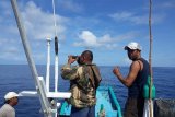 Nelayan Kupang beralih ke perairan Flores akibat kesulitan umpan