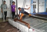Pemkab Kotawaringin Timur bersiap bangun pabrik es