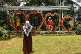 Pengunjung swafoto di kawasan wisata Mandiri Sayang Kaak yang dikelola oleh Badan Usaha Milik Desa (BUMdes) Hangjuang di Desa Handap Heurang, Kabupaten Ciamis, Jawa Barat, Salasa (14/3/2019). Pemerintah melalui Kementerian Keuangan telah menyalurkan dana desa sebesar Rp5 triliun hingga akhir Februari 2019 atau sekitar 7,14 persen dari total pagu anggaran Dana Desa dalam APBN sebesar Rp70,00 triliun dan mengarahkan penggunaan dana desa ke skema padat karya serta peningkatan perekonomian desa melalui optimalisasi BUMDes. ANTARA JABAR/Adeng Bustomi/agr
