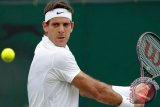 Del Potro siap bertanding di turnamen Madrid Open