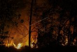 Api membakar semak belukar dan pepohonan pada kebakaran lahan di Pekanbaru, Riau, Senin (18/3/2019) malam. Keringnya pepohonan akibat cuaca panas dan diperparah dengan kencangnya angin membuat api cepat menjalar sehingga menyulitkan regu pemadam untuk melakukan pemadaman di lokasi yang terbakar. (ANTARA FOTO)