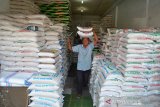Pedagang memikul karung berisi beras di toko grosir pasar tradisional, Kampung Baru, Banda Aceh, Senin (25/3/2019). Menurut pedagang grosir di daerah itu, sejak dua peken terakhir harga beras bergerak turun antara Rp5.000 hingga Rp10.000 perkarung ukuran 15 kilogram menurut jenis dan kualitas beras sehubungan di sejumlah provinsi Aceh tengah berlangsung panen padi. (Antara Aceh/Ampelsa)