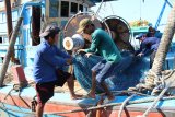 Sejumlah anak buah kapal asing menarik jaring dari kapal berbendera Vietnam hasil tangkapan di dermaga Stasiun Pengawasan Sumber Daya Kelautan dan Perikanan (PSDKP) Pontianak di Kabupaten Kubu Raya, Kalimantan Barat, Rabu (20/3/2019). Kapal Patroli Hiu Macan 01 Kementerian Kelautan dan Perikanan menangkap dua kapal perikanan asing berbendera Vietnam yaitu KM BV 92746 TS berukuran 65 GT dan KM BV 92747 TS berukuran 90 GT serta 14 anak buah kapal yang sedang melakukan penangkapan ikan secara ilegal mennggunakan alat tangkap pair trawl di Zona Ekonomi Ekslusif Indonesia (ZEEI) Laut Natuna Utara pada Minggu (17/3/2019). ANTARA FOTO/Jessica Helena Wuysang