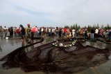 Pengunjung pantai menyaksikan nelayan membenahi pukat (jaring) darat di pantai Gampong Jawa, Banda Aceh, Aceh, Minggu (24/3/2019). Pukat darat termasuk alat tangkap tradisional ramah lingkungan yang ditarik dari pinggiran pantai oleh enam hingga 10 orang masih menjadi alat andalan bagi nelayan pesisir pantai di daerah itu. (ANTARA FOTO)