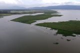 Foto udara kondisi Danau Limboto yang tertutup eceng gondok di Kabupaten Gorontalo, Gorontalo, Rabu (27/03/2019). Danau Limboto ditetapkan menjadi salah satu dari 15 danau kritis di Indonesia yang menjadi prioritas nasional untuk ditangani secara terpadu oleh pemerintah pusat dan daerah. (ANTARA FOTO)