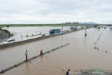 Suasana jalan tol Trans Jawa ruas Ngawi-Kertosono pada KM 603-604 yang terendam banjir di Desa Glonggong, Balerejo, Kabupaten Madiun, Jawa Timur, Kamis (7/3/2019). Luapan Sungai Madiun serta beberapa anak sungainya mengakibatkan sejumlah wilayah di Kabupaten Madiun terendam banjir, dan jalan tol yang terendam tersebut hanya difungsikan satu ruas dengan sistem buka tutup. Antara Jatim/Siswowidodo/zk.