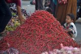 Pengunjung berbelanja cabai merah di pasar tradisional Peunayong, Banda Aceh, Sabtu (30/3/2019). Menurut pedagang, harga cabai merah sejak sepekan terakhir naik drastis dari Rp15.000 perkilogram menjadi Rp22.000 perkilogram sehubungan pasokan berkurang. (Antara Aceh/Ampelsa)