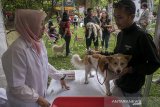 Warga berkonsultasi dengan dokter untuk kesehatan hewan piaraan saat Kegiatan kegiatan vaksin Pet Healthy Day di Pet Park Bandung, Jawa Barat, Minggu (24/3/2019). Kegiatan tersebut dilaksanakan pemerintah Kota Bandung agar masyarakat terus peduli terhadap kesehatan hewan piaraannya khususnya anjing dan kucing untuk terbebas dari virus rabies sesuai kebijakan pemerintah Indonesia yakni Indonesia 2020 bebas rabies. ANTARA JABAR/Novrian Arbi/agr