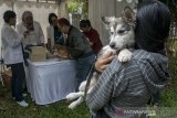 Dokter memberikan vaksin kepada seekor hewan piaraan saat kegiatan Pet Healthy Day di Pet Park Bandung, Jawa Barat, Minggu (24/3/2019). Kegiatan tersebut dilaksanakan pemerintah Kota Bandung agar masyarakat terus peduli terhadap kesehatan hewan piaraannya khususnya anjing dan kucing untuk terbebas dari virus rabies sesuai kebijakan pemerintah Indonesia yakni Indonesia 2020 bebas rabies. ANTARA JABAR/Novrian Arbi/agr