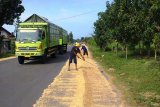 Petani Parigi Moutong kesulitan jemur gabah