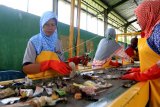 Pekerja memilah sampah plastik di Tembokrejo, Muncar, Banyuwangi, Jawa Timur, Kamis (4/4/2019). Pengelolaan sampah yang diberi nama program STOP tersebut, mampu mengolah sampah sebanyak tiga ton sampah laut per hari, yang terdiri dari 75 persen sampah organik, 13 persen plastik, 12 persen logam, beling, sisanya sampah 