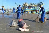 Tim Satgas Laut Biru terdiri dari Dinas kelautan dan Perikanan, Pol Air, TNI dan Mahasiswa mengumpulkan sampah bekas plastik saat aksi bersih laut di Pelabuhan Perikanan Samudera Koetaraja, Lampulo, Banda Aceh, Jumat (5/4/2019). Satgas Laut Biru yang baru dideklarisikan atas kesepakatan bersama dari intansi terkait itu berkomitmen mewujudkan pantai dan laut di daerah itu bebas dari sampah plastik serta mengajak nelayan juga turut peduli dengan lingkungan. (Antara Aceh/Ampelsa)