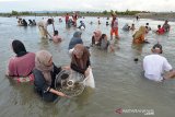 Pengunjung bersama keluarganya berendam mencari kerang di muara pelabuhan kawasan wisata hutan manggrove, Lampulo, Banda Aceh, Minggu (7/4/2019). Pada hari libur kawasan hutan manggrove yang berdampingan dengan pelabuhan perikanan samudera itu ramai didatangi pengunjung mencari kerang dan selain berwisata. (Antara Aceh/Ampelsa)