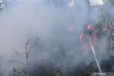 15 hektare lahan gambut pinggiran Kota Pekanbaru terbakar