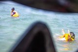 POTENSI WISATA SNORKELING. Wisatawan berenang menikmati spot snorkeling (selam permukaan) di Perairan Tangkolak, Desa Sukakerta, Karawang, Jawa Barat, Minggu (7/4/2019). Kawasan tersebut merupakan salah satu objek wisata laut terbaik yang menyajikan kegiatan wisata snorkeling kepada wisatawan yang datang berlibur ke Tangkolak. ANTARA JABAR/M Ibnu Chazar/agr