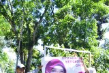 Bawaslu Tanah Datar bersihkan atribut kampanye di masa tenang pemilu