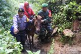 Personel Polri dan TNI  mengawal distribusi logistik Pemilu 2019 ke kawasan Taman Nasional Meru Betiri Dusun Bandealit, Desa Andongrejo, Tempurejo, Jember, Jawa Timur, Senin (15/4/2019). Pengiriman logistik itu ke Tempat Pemungutan Suara (TPS) nomor 20 di dusun itu harus memakai kuda karena akses jalan setapak, berlumpur saat hujan, dan menanjak tidak bisa dilalui kendaraan bermotor. Antara Jatim/Seno/zk.