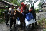 Kapolsek Tempurejo AKP Suhartanto (kedua kiri), dan personel TNI mengawal distribusi logistik Pemilu 2019 ke kawasan Taman Nasional Meru Betiri Dusun Bandealit, Desa Andongrejo, Tempurejo, Jember, Jawa Timur, Senin (15/4/2019). Pengiriman logistik itu ke Tempat Pemungutan Suara (TPS) nomor 20 di dusun itu harus memakai kuda karena akses jalan setapak, berlumpur saat hujan, dan menanjak tidak bisa dilalui kendaraan bermotor. Antara Jatim/Seno/zk.