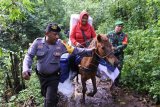 Personel TNI dan Polri mengawal distribusi logistik Pemilu serentak 2019 ke kawasan Taman Nasional Meru Betiri Dusun Bandealit, Desa Andongrejo, Tempurejo, Jember, Jawa Timur, Senin (15/4/2019). Pengiriman logistik ke Tempat Pemungutan Suara (TPS) nomor 20 di dusun itu harus memakai kuda karena akses ke lokasi hanya jalan setapak yang berlumpur saat hujan dan menanjak serta tidak bisa dilalui kendaraan bermotor. (ANTARA FOTO)