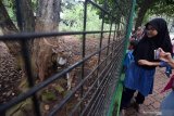 Kebun Binatang Ragunan hari pertama Idul Fitri ditutup